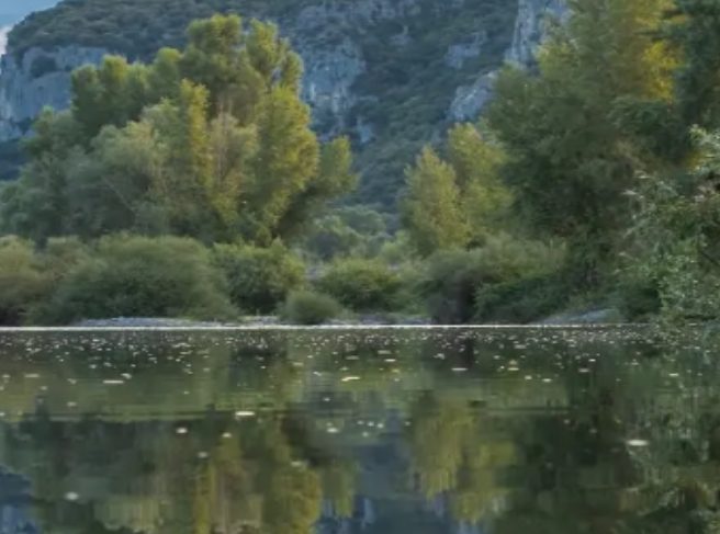 The Hérault river between wooded banks and limestone cliffs